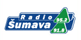 Logo partnera